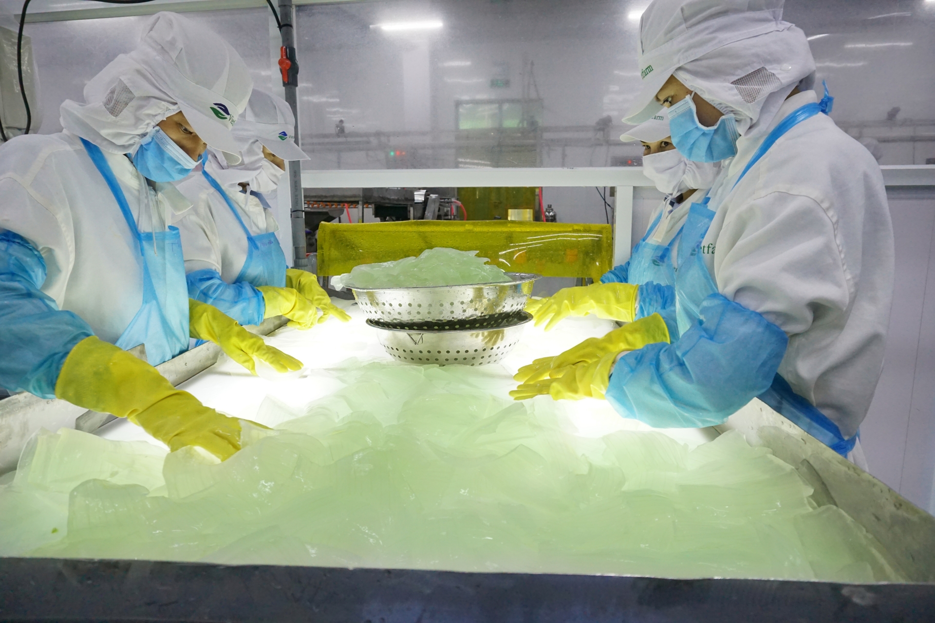 “Vua” nha đam sắp góp mặt trên thị trường chứng khoán