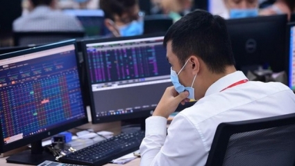 Chuyên gia nói gì về phiên giảm điểm mạnh nhất châu Á của VN-Index?