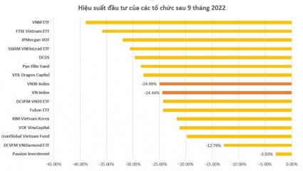 Quỹ nào trên thị trường chứng khoán có hiệu suất "tệ" nhất sau 9 tháng đầu năm 2022?