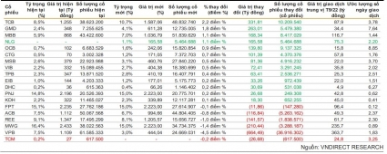 VNDIRECT: TCM có thể bị loại khỏi VNDiamond, thêm mới NLG