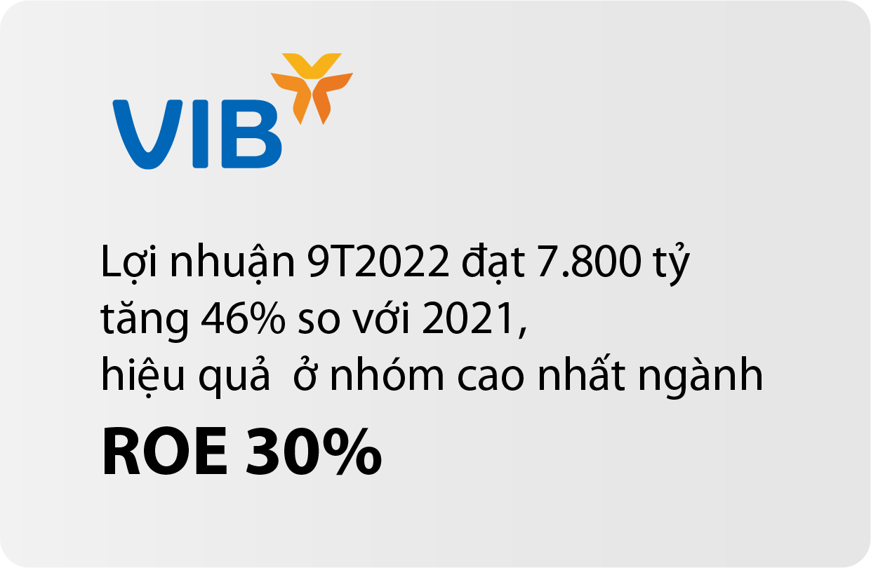 VIB: Lợi nhuận 9 tháng đạt 7.800 tỷ, tăng 46%, xếp hạng cao nhất bởi NHNN