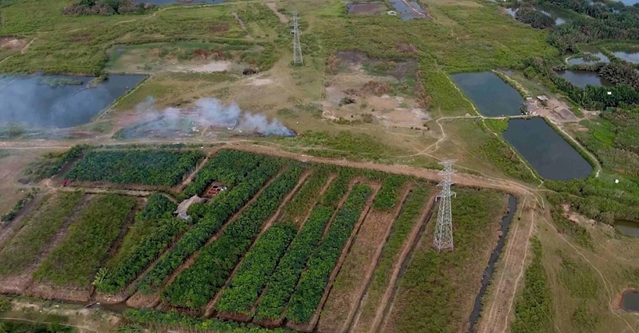 Tân Thuận và QCGL mâu thuẫn khi đề xuất khi hủy hợp đồng chuyển nhượng