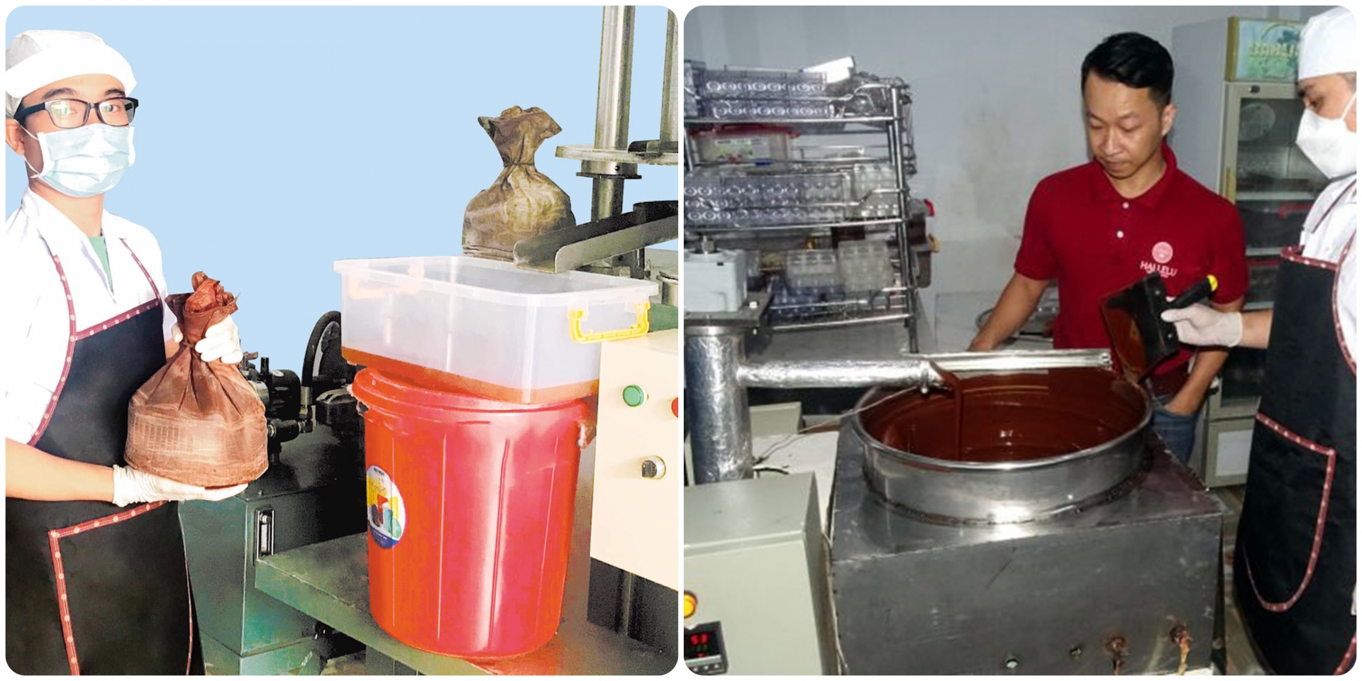 chocolate và trái cacao