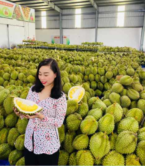 Xuất khẩu rau quả sang Trung Quốc giảm mạnh, kéo tụt kim ngạch xuất khẩu cả nước