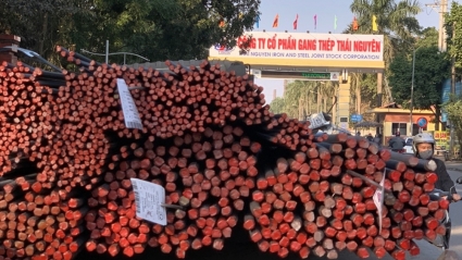 Giá vốn cao cộng chi phí lãi vay lớn khiến Tisco lỗ hơn 25 tỷ đồng trong quý 3