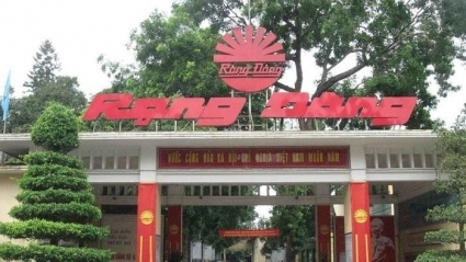 Rạng Đông (RAL) báo lãi quý 3 tăng 40%, nợ ngắn hạn gấp 1,7 lần vốn chủ sở hữu