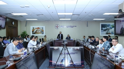 EVN lên phương án tính khung giá phát điện cho các dự án năng lượng tái tạo chuyển tiếp
