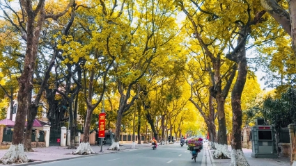 Bắc Bộ lạnh về sáng và đêm, Tây Nguyên và Nam Bộ có mưa lớn