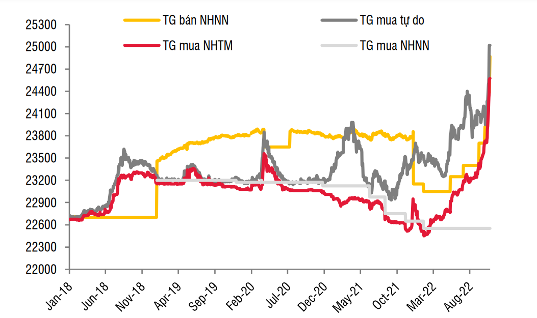 VND mất giá 8,6%, một số doanh nghiệp vẫn có thể hưởng lợi lớn
