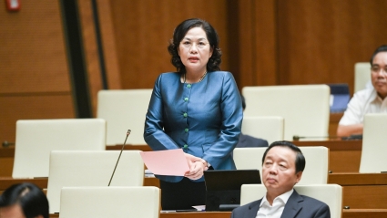 Thống đốc Ngân hàng Nhà nước nêu lý do cần kiểm soát tín dụng bất động sản