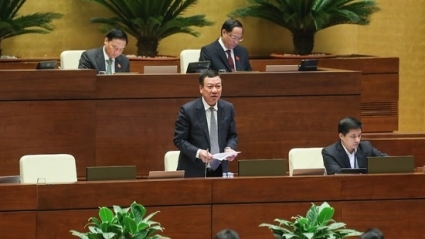 "Phát hiện nhiều sai phạm đặc biệt nghiêm trọng qua thanh tra đột xuất"