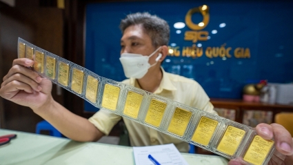 Giá vàng SJC giảm nhẹ, vẫn còn động lực trên thị trường thế giới