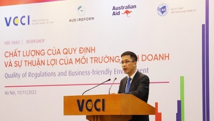 Nhiều quy định chồng chéo, xung đột… gây khó cho doanh nghiệp