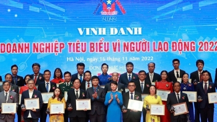 Vinh danh 62 doanh nghiệp đi đầu về bảo vệ, chăm lo cho người lao động