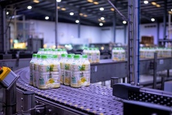 Liên doanh thực phẩm và đồ uống 400 tỷ đồng giữa Vinamilk và Kido giải thể