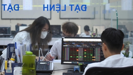 Rung lắc chủ yếu do khối ngoại