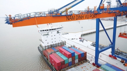 Gemadept muốn thoái toàn bộ vốn tại Cảng Nam Hải Đình Vũ