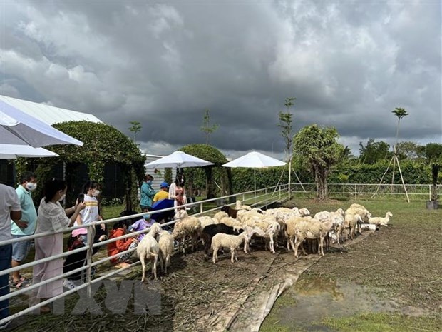 Tín hiệu vui về du lịch tại các địa phương trong dịp Tết Dương lịch