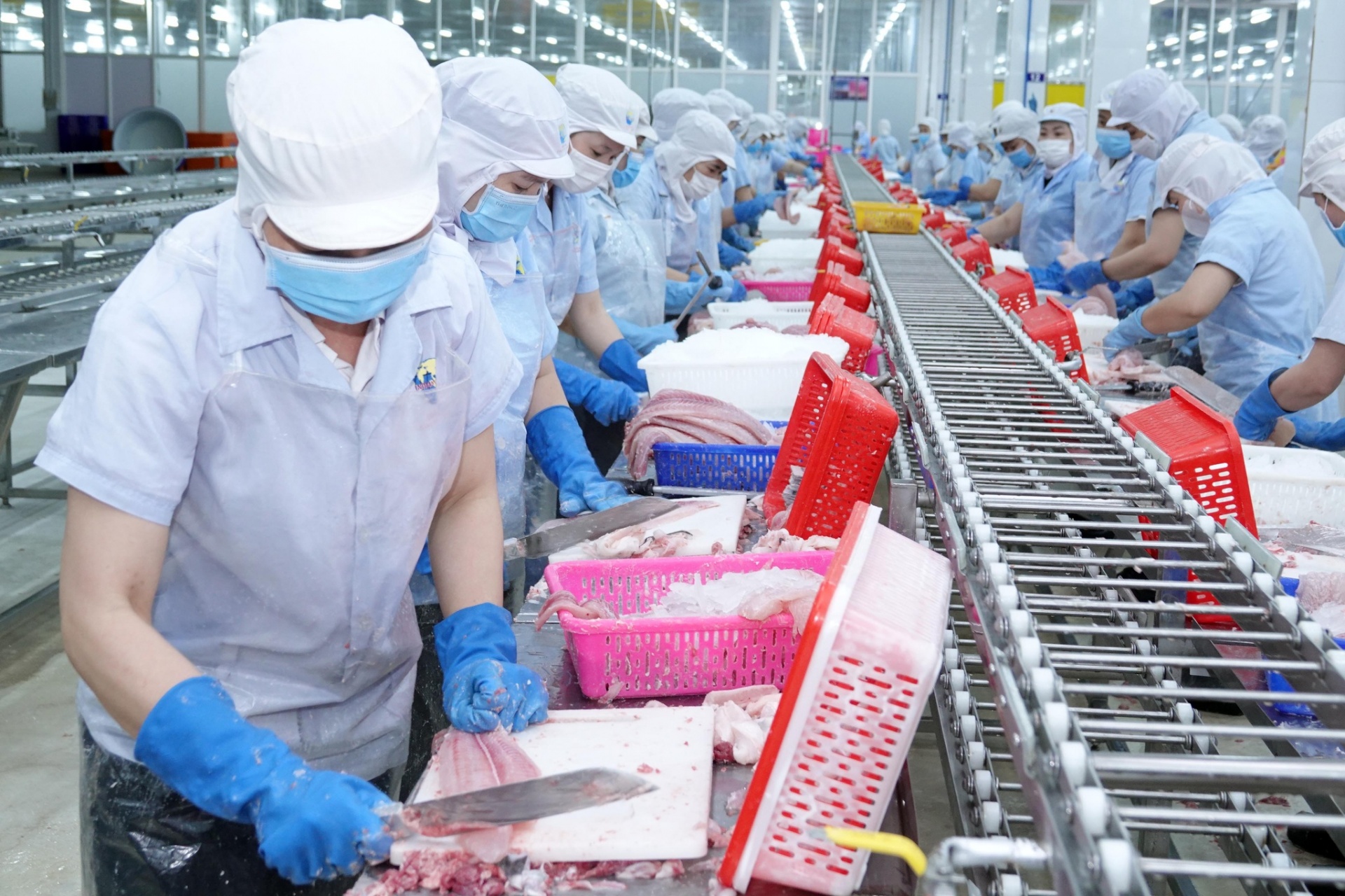 Đơn hàng sụt giảm mùa cao điểm, doanh nghiệp phải làm gì?