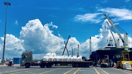 Công ty Cổ phần Phân bón Dầu khí Cà Mau: Cung ứng tối đa nội địa, hướng mạnh xuất khẩu