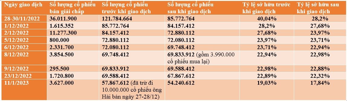 Bị bán giải chấp 61,5 triệu cổ phiếu, tỷ lệ sở hữu của Chủ tịch Hải Phát còn bao nhiêu?