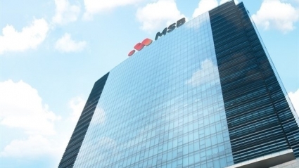 MSB báo lợi nhuận năm 2022 hơn 5.787 tỷ đồng nhờ đẩy mạnh mảng khách hàng cá nhân