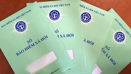 Chậm đóng BHXH cho người lao động, 3 doanh nghiệp bị phạt hơn 500 triệu đồng