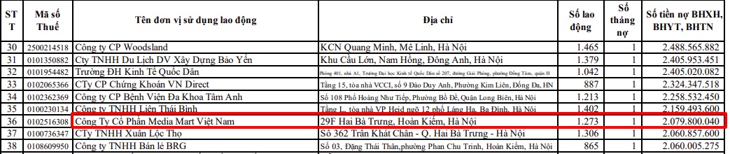 Media Mart Việt Nam nợ đóng bảo hiểm xã hội cho 1.273 lao động