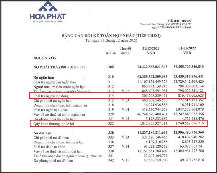 Nguồn: BCTC Hợp nhất quý IV/2022 của HPG.
