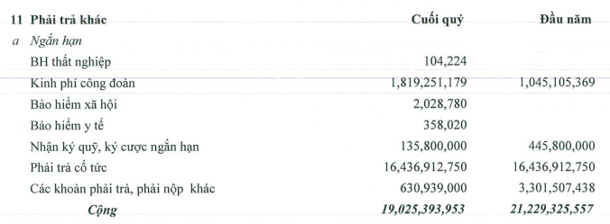 Các khoản nợ BHYT, BHXH, BHTN, cổ tức năm 2022