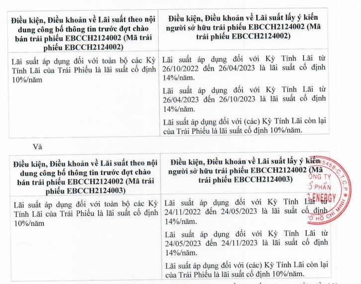 BCG Energy: Khả năng trả nợ yếu vẫn huy động cả nghìn tỉ đồng trái phiếu