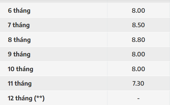 Ngân hàng Nam Á: Mua chứng chỉ tiền gửi, khách nhận lãi suất 11,2% kỳ hạn 1 năm
