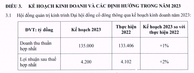 Kế hoạch kinh doanh và định hướng năm 2023