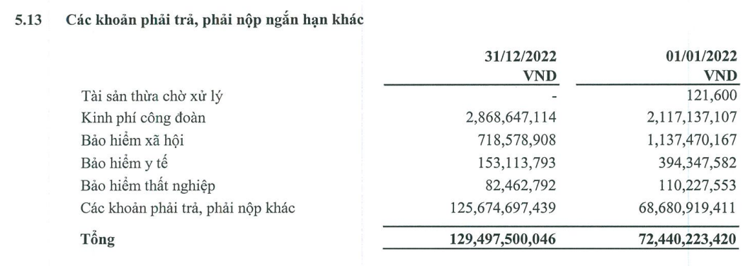 Các khoản phải trả ngắn hạn khác