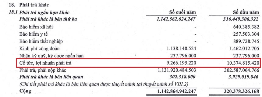 Các khoản phải trả ngắn hạn khác