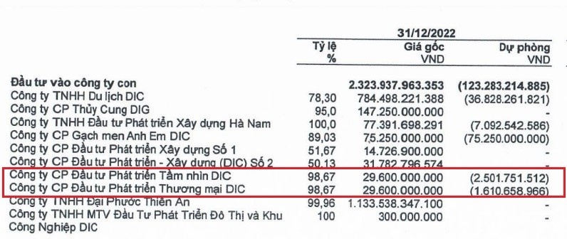 Nguồn: BCTC kiểm toán 2022 công ty mẹ DIG
