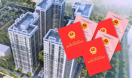 TP. Hồ Chí Minh cấp 110.016 'sổ hồng' cho nhà ở thương mại