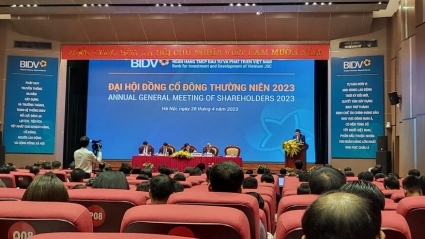 BIDV dự kiến dùng 18.053 tỷ đồng để chia cổ tức bằng cổ phiếu