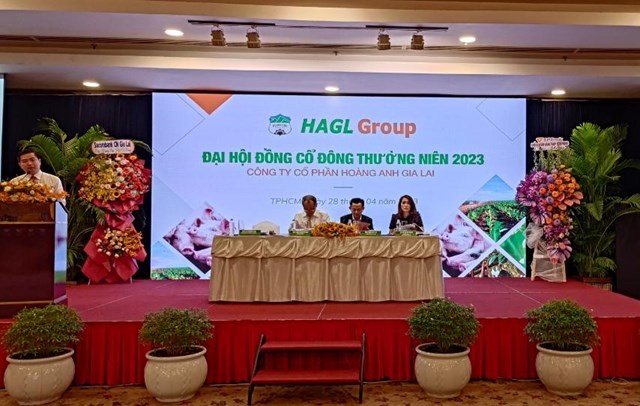 Bầu Đức thưởng 20 triệu cổ phiếu ESOP cho nhân viên gắn bó sau biến động nhân sự lớn