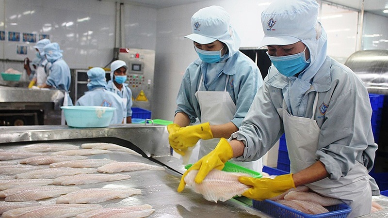 Đề xuất gói tín dụng 10.000 tỷ đồng hỗ trợ doanh nghiệp lâm - thủy sản