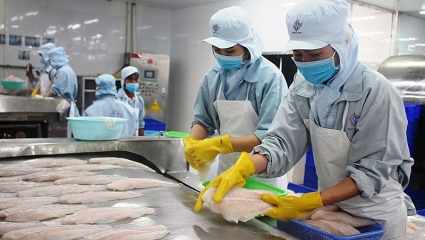 Đề xuất gói tín dụng 10.000 tỷ đồng hỗ trợ doanh nghiệp lâm - thủy sản