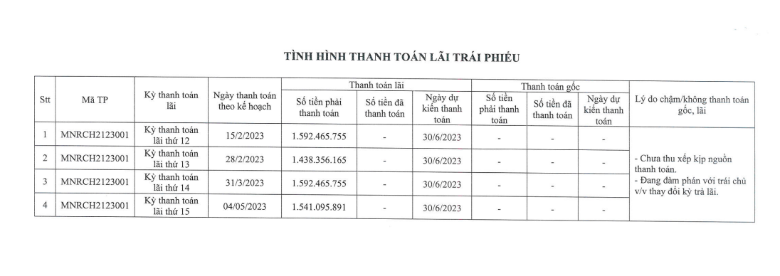 Đất Xanh Miền Nam chậm trả 4 kỳ thanh toán lãi trái phiếu