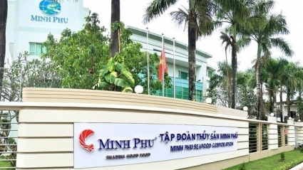 “Vua tôm” Minh Phú lỗ ròng kỷ lục 98,3 tỷ đồng sau 7 năm liền toàn lãi