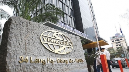 Doanh thu tăng mạnh, nhưng Vinaconex chỉ lãi gần 19 tỷ đồng, giảm tới 98%