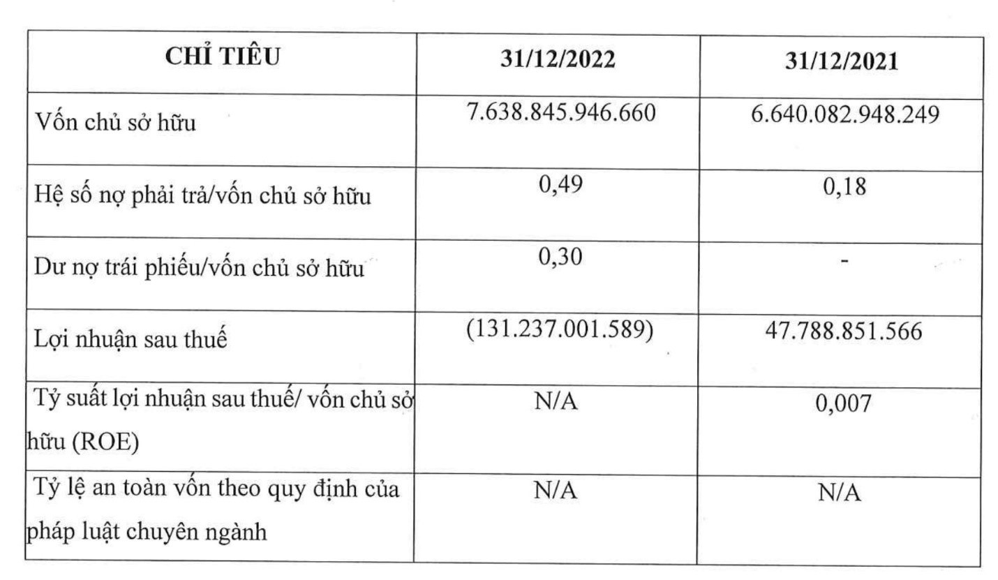 Báo cáo tài chính năm 2022 của No Va Thảo Điền
