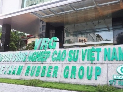 Tập đoàn Cao su (GVR) dự kiến chi 1.200 tỷ cho đầu tư tài chính