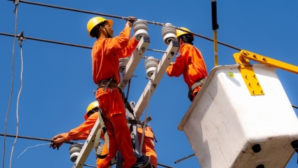 Thanh tra việc cung ứng điện của EVN từ hôm nay