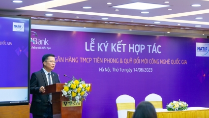 TPBank hợp tác cùng NATIF hỗ trợ vốn cho doanh nghiệp công nghệ