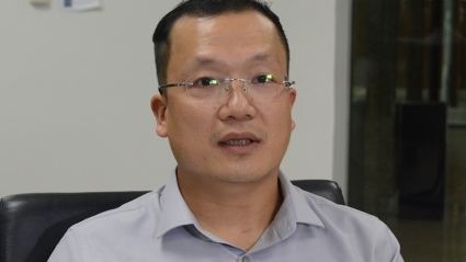 Thanh tra EVN: Đình chỉ Giám đốc Trung tâm Điều độ hệ thống điện quốc gia