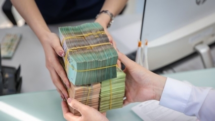 Quảng Nam tháo gỡ khó khăn cho sản xuất, kinh doanh của doanh nghiệp